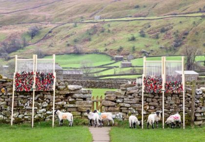 Abbotsford: Swaledale Gates by Abre Etteh featuring our 100% Melton Wool