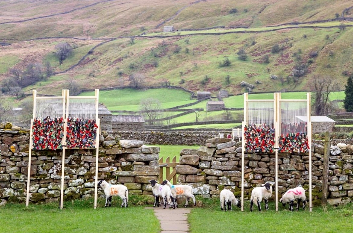 Abbotsford: Swaledale Gates by Abre Etteh featuring our 100% Melton Wool